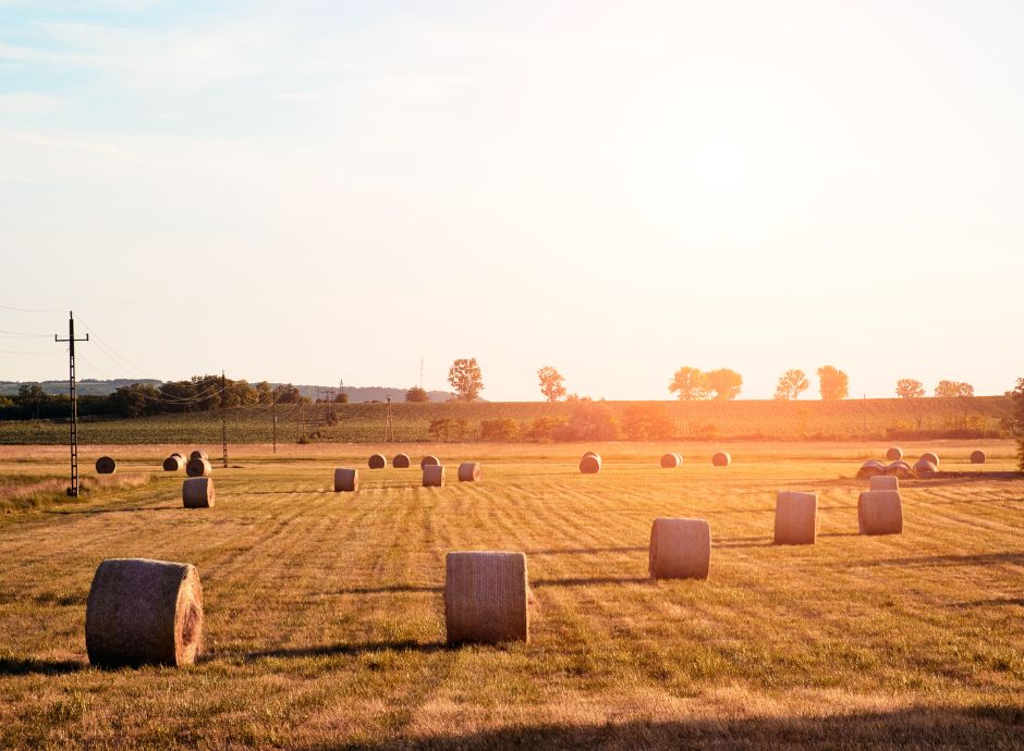 aggiornamento-colturale Circolari Fiscali