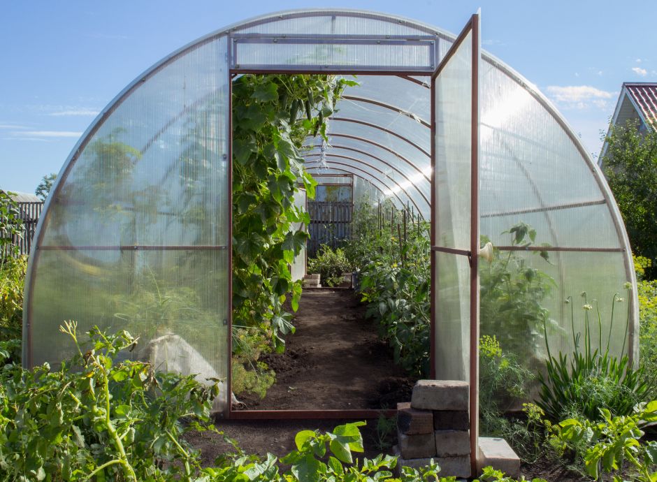 colture-idroponiche Circolari Fiscali