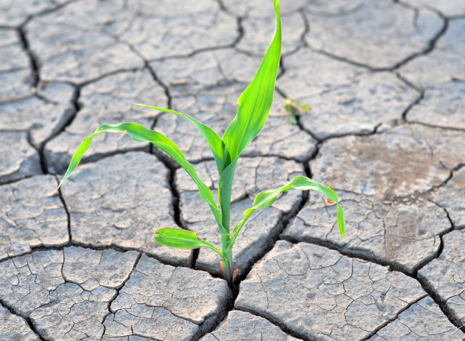 conversione-legge-decreto-siccita Circolari Fiscali