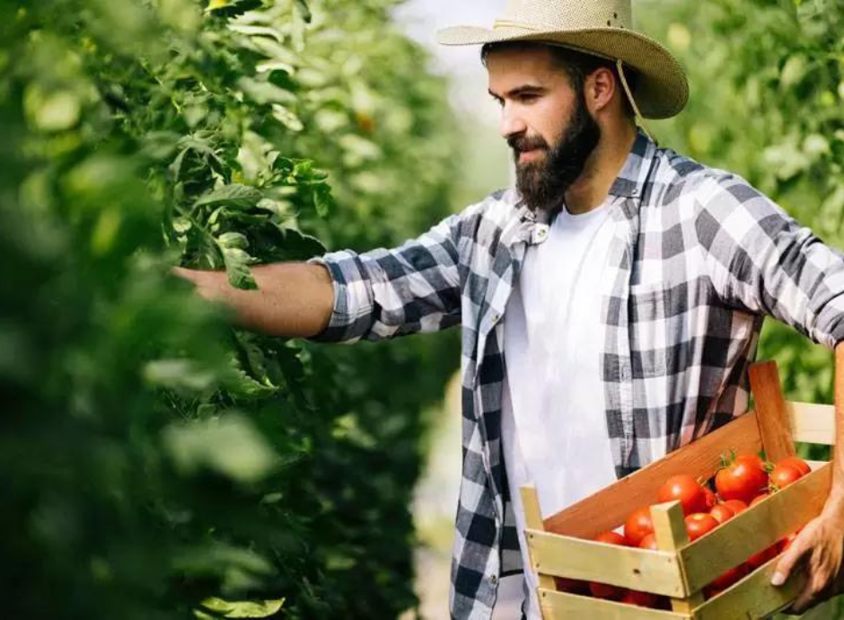 corte-cassazione-decadenza-benefici-ppc-esclusa-caso-vendita-fo_p83945 Circolari Fiscali