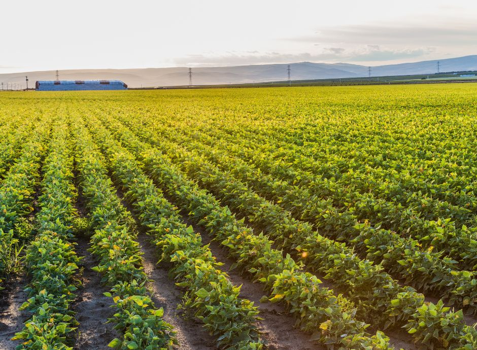 irpef-terreni-agricoli Circolari Fiscali