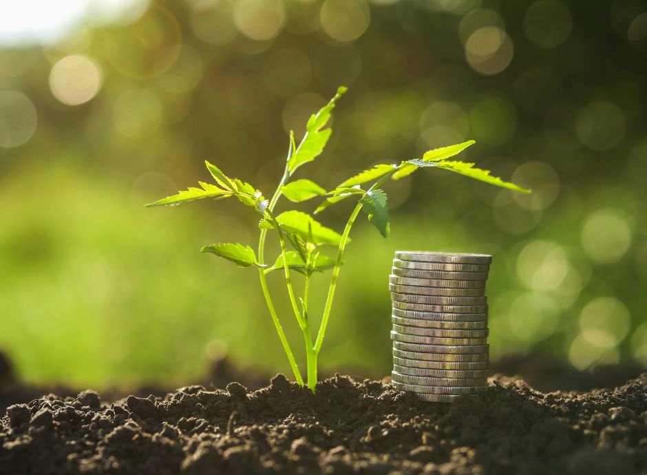 legge-bilancio-2024-rischio-affrancamento-terreno-intendere-con_p89009 Circolari Fiscali