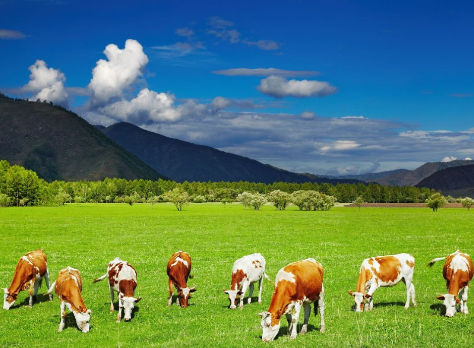 redditi-allevamento-modello-redditi-2023 Circolari Fiscali