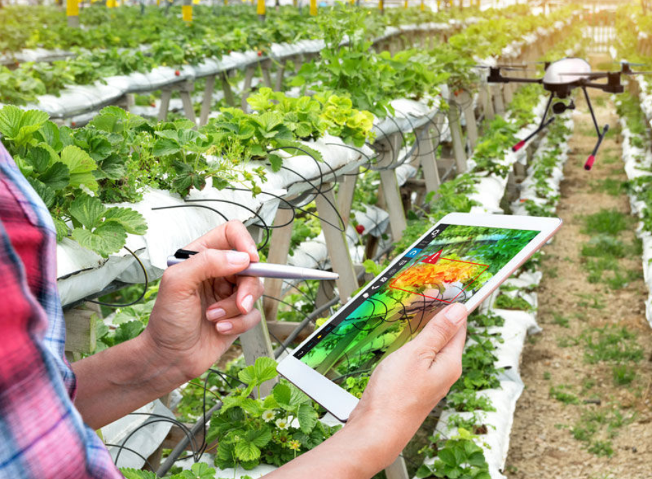 riforma-fiscale-agricoltura-innovativa-svolta-importante Circolari Fiscali