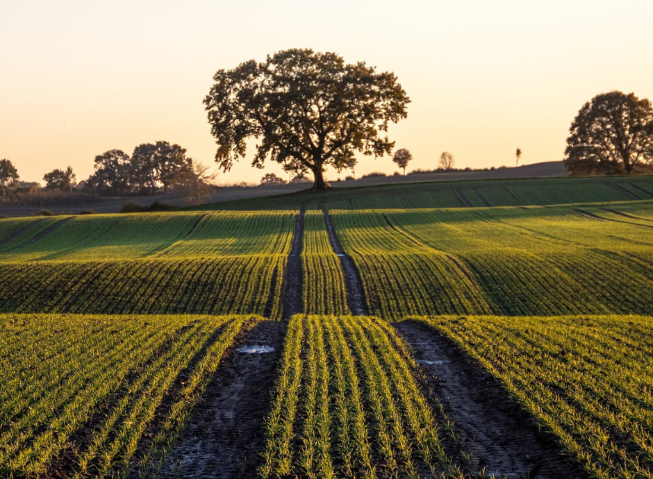 riforma-fiscale-assimilazione-carbon-farming-attivita-produttiv_p12189 Circolari Fiscali