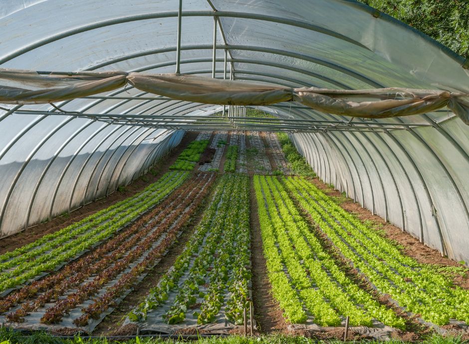 serre-fisse-o-mobili Circolari Fiscali