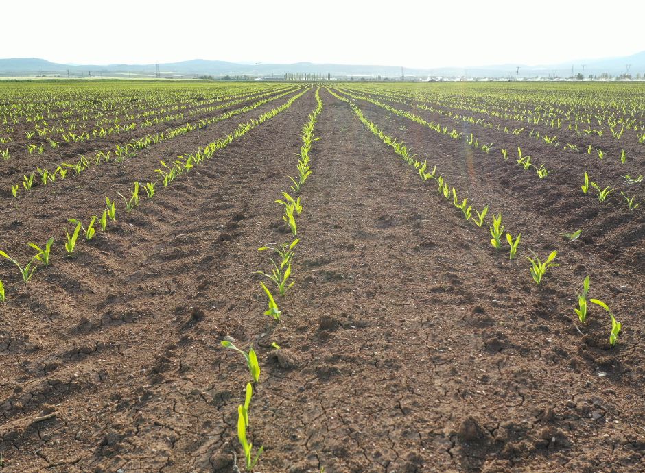 servizi-a-terzi-esercizio-esclusivo Circolari Fiscali