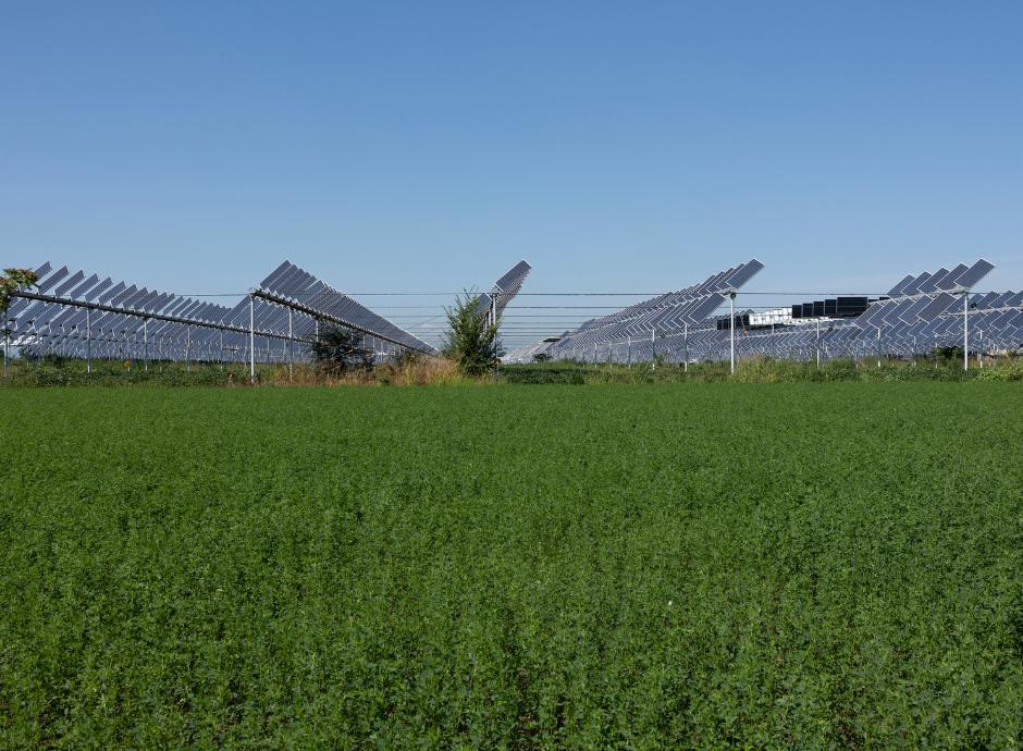 decreto-agrivoltaico-mase Circolari Fiscali