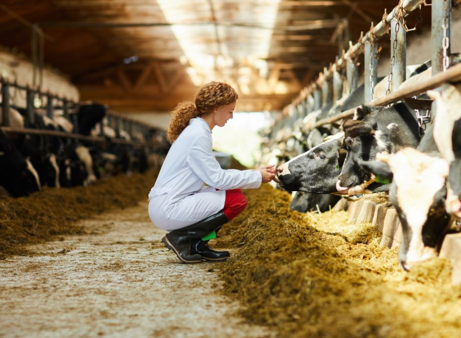 emilia-romagna-nuovi-contributi-investimenti-diretti-riduzione-_p59936 Circolari OP del settore ortofrutticolo