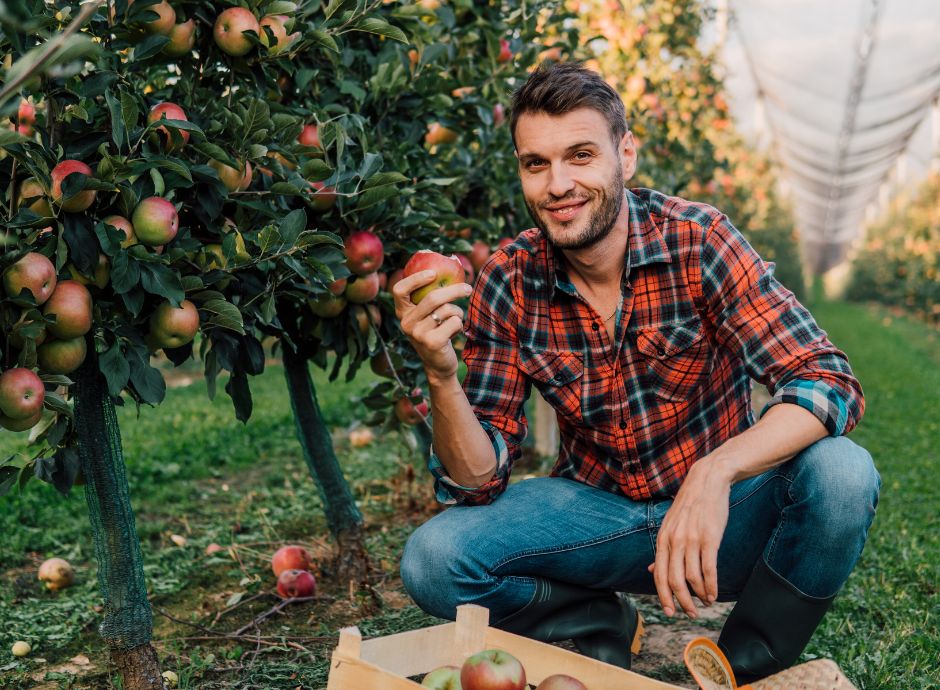 disegno-legge-promozione-sviluppo-imprenditoria-giovanile-setto_p98422 Circolari Fiscali