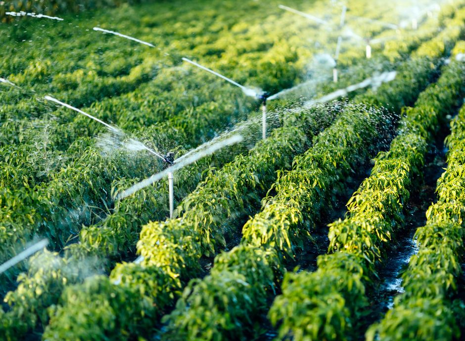 gruppo-utenti-acqua-pubblica-uso-irriguo-ripartire-costi Circolari Fiscali