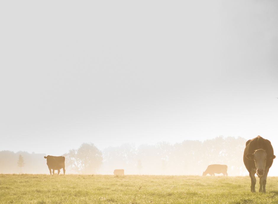 eco1-modalita-compilazione-presentazione-dichiarazione-integrat_p56354 Circolari PAC e PSR