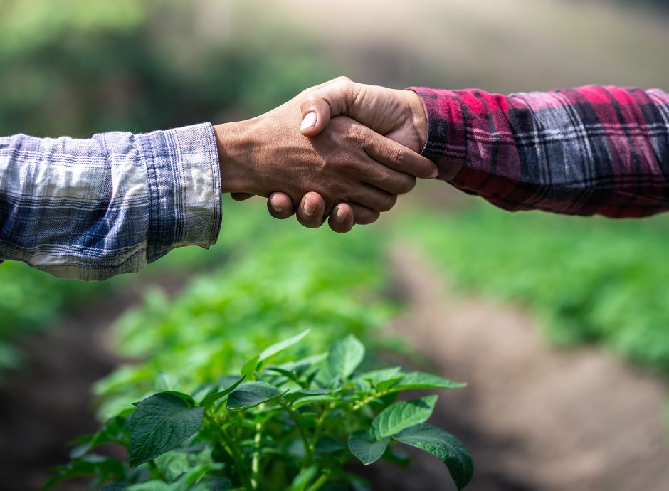 agricoltori-colpiti-calamita-1-miliardo-euro-aiuti-ue-italia ConsulenzaAgricola -  Risposte efficaci per il mondo agricolo