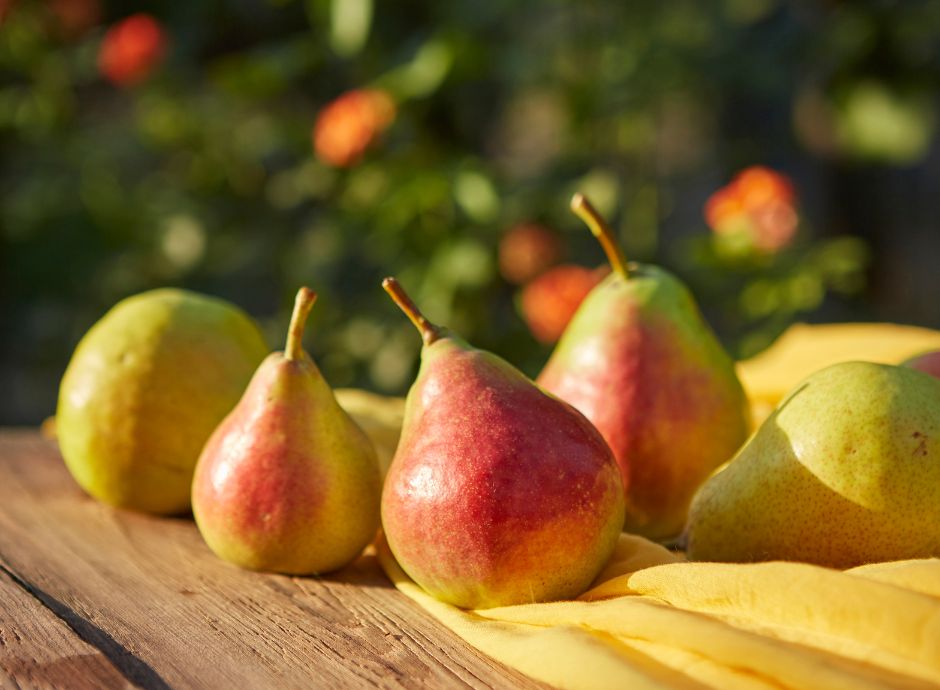 fondo-sviluppo-sostegno-filiera-frutticola-pera ConsulenzaAgricola -  Risposte efficaci per il mondo agricolo