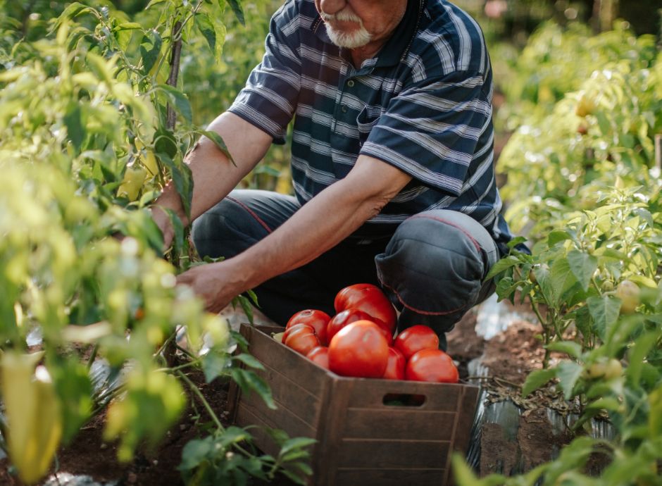 inps-chiarimenti-circa-sospensione-ufficio-posizione-contributi_p51250 ConsulenzaAgricola -  Risposte efficaci per il mondo agricolo