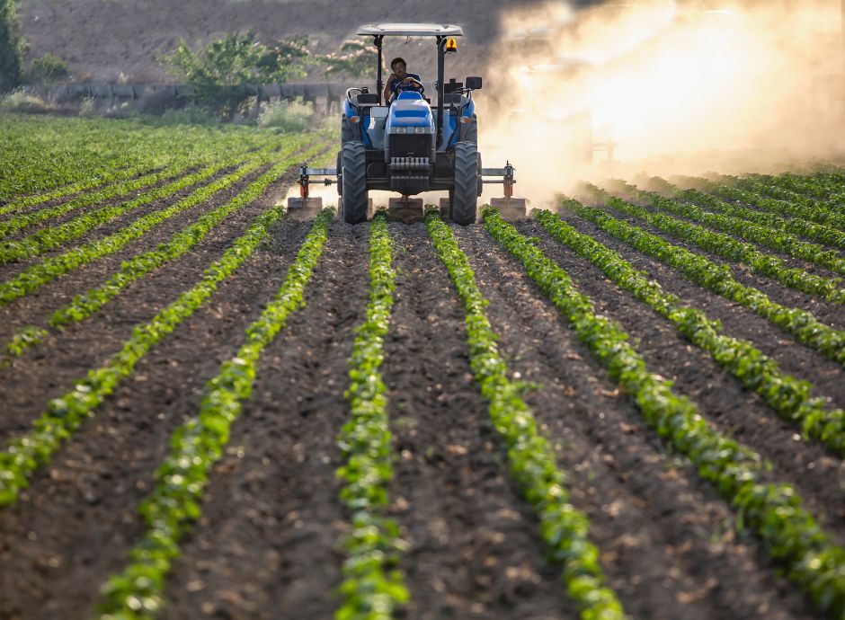 affitto-fondo-rustico-affitto-azienda-agricola-cosa-differiscon_p62634 ConsulenzaAgricola -  Risposte efficaci per il mondo agricolo