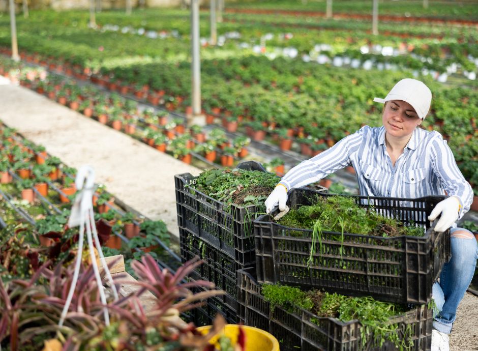 rinnovato-cpl-operai-agricoli-florovivaisti-province-forli-cese_p65097 ConsulenzaAgricola -  Risposte efficaci per il mondo agricolo