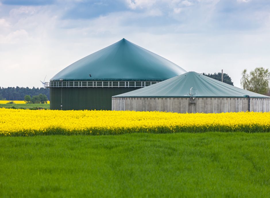 procedura-competitiva-accesso-incentivi-riconosciuti-bio ConsulenzaAgricola -  Risposte efficaci per il mondo agricolo