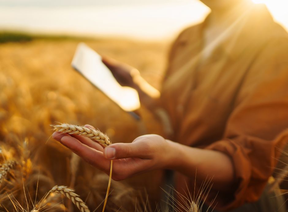 quaderno-di-campagna-digitale-si-parte-dal-1-gennaio-2025 Circolari PAC e PSR