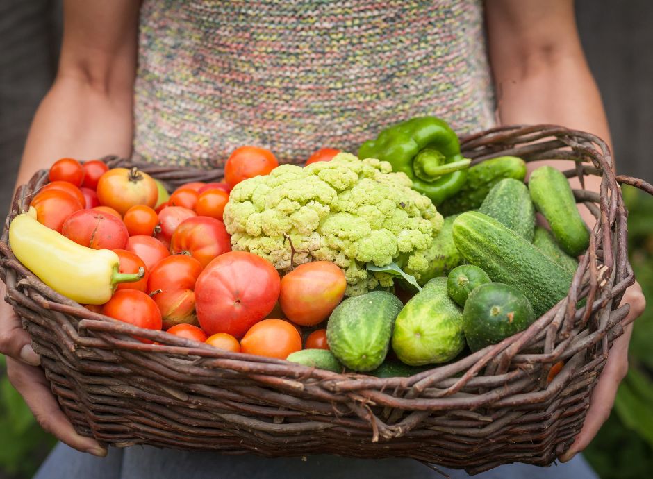 modifiche-al-regolamento-delegato-ue-2024-2975-sulla-gestione-d_p64789 ConsulenzaAgricola.it - Risposte efficaci per il mondo agricolo