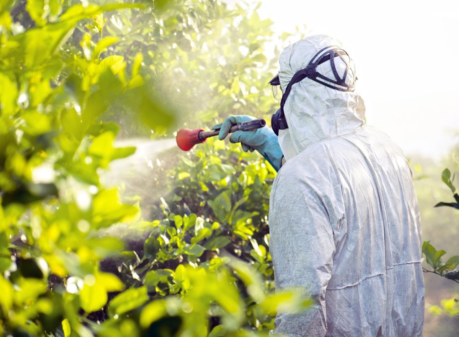 dossier-legambiente-stop-pesticidi-nel-piatto-2024-agricoltura-_p26218 ConsulenzaAgricola.it - Risposte efficaci per il mondo agricolo