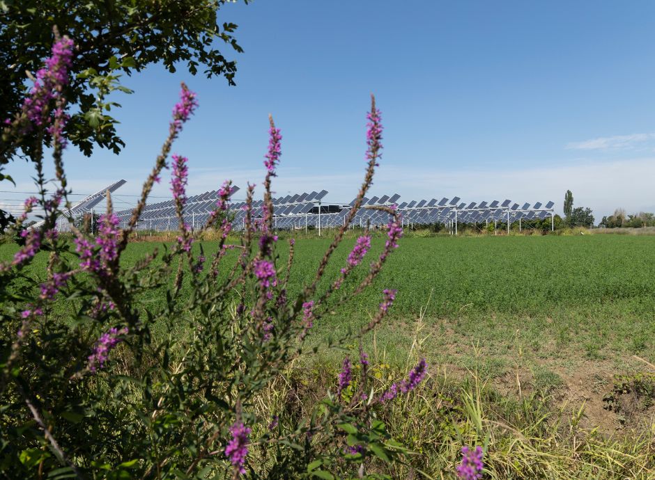 agrivoltaico-decarbonizzazione Circolari Fiscali