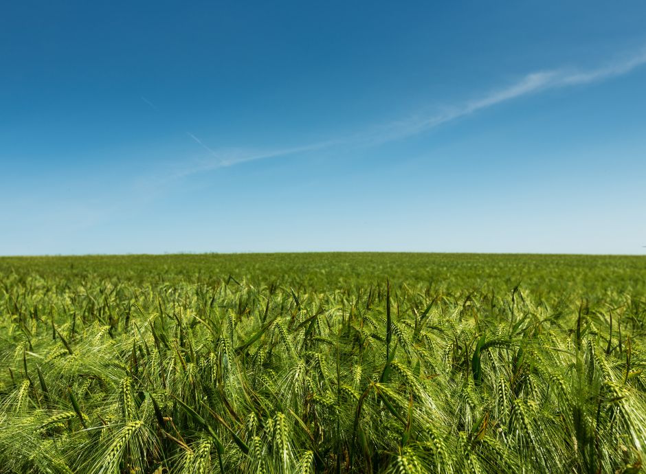 societa-semplice-agricola Circolari Fiscali
