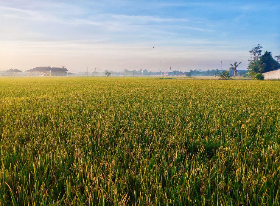 srl-agricola-benefici-fiscali Circolari Fiscali