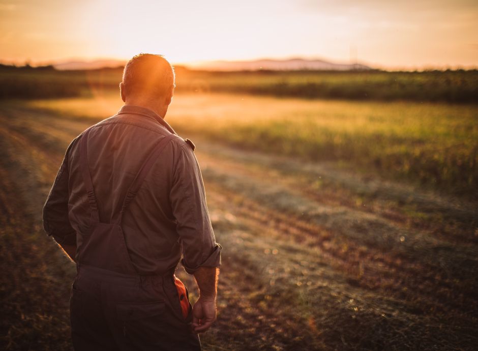 l-ires-e-l-irap-delle-cooperative-agricole Circolari Fiscali