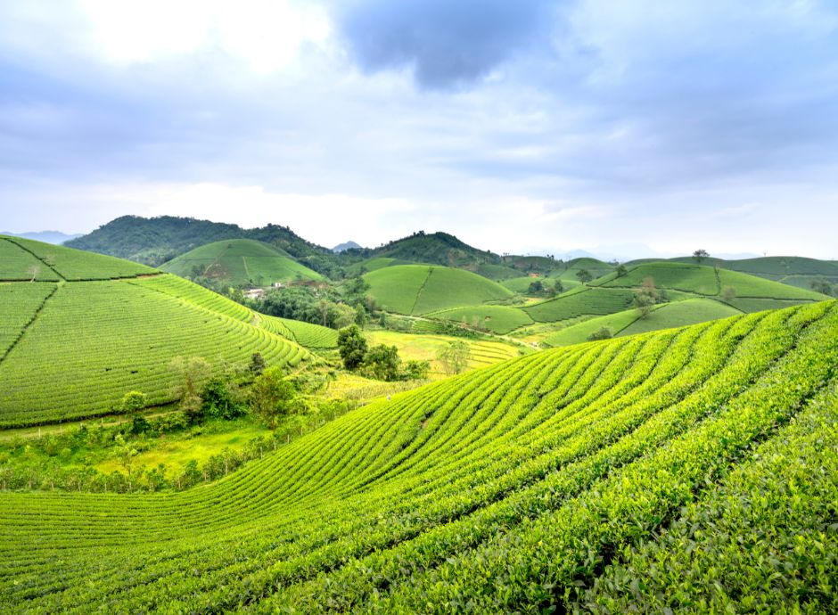 l-agenzia-rivede-il-proprio-orientamento-sulla-costituzione-del_p75267 Circolari Fiscali