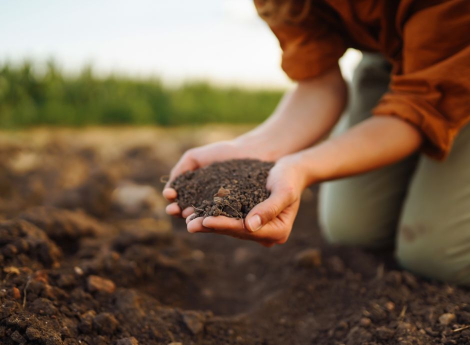 bonus-zes-unica-agricoltura-e-mezzogiorno-aggiornate-le-istruzi_p43775 Sezione Circolari