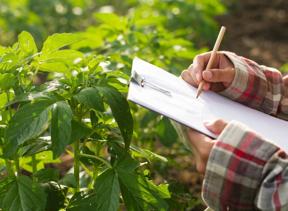 l-irap-per-le-imprese-agricole-e-le-novita-introdotte-dalla-del_p81883 Circolari Fiscali
