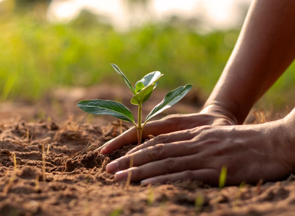 the-good-farmer-award-2025-un-riconoscimento-ai-giovani-agricol_p79186 Circolari OP del settore ortofrutticolo