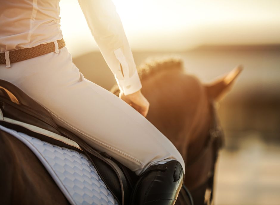 caldo-eccessivo-stop-alle-corse-di-cavalli Circolari OP del settore ortofrutticolo