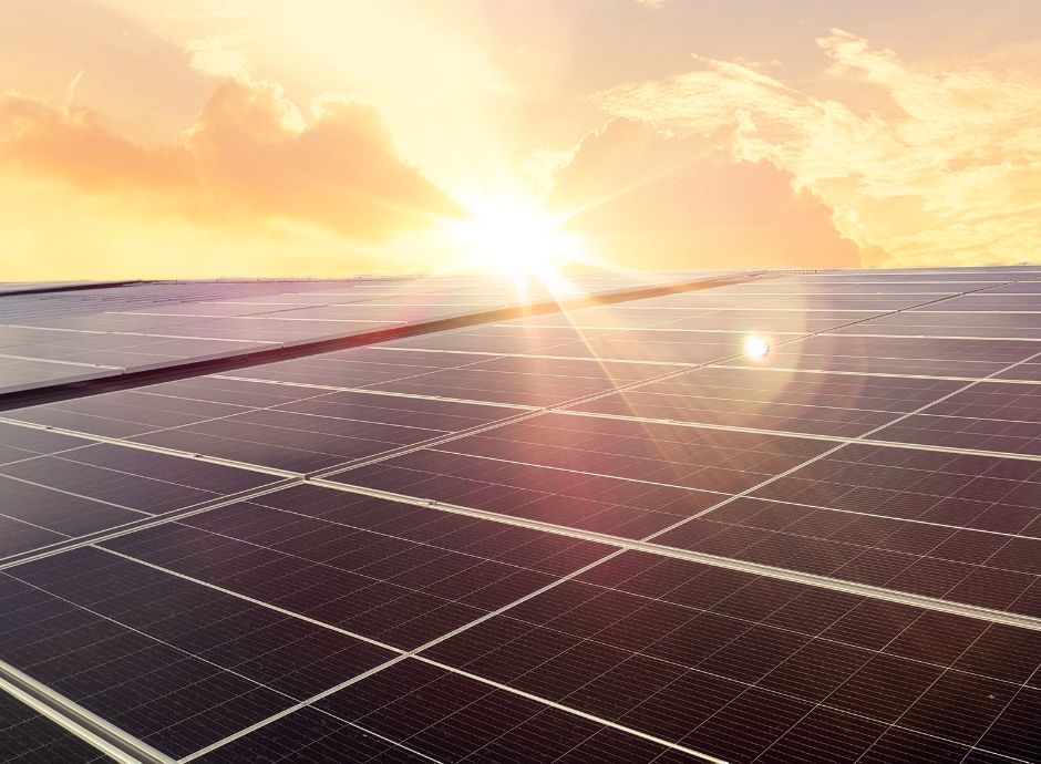 agrivoltaico-il-mase-concede-maggior-elasticita Circolari OP del settore ortofrutticolo