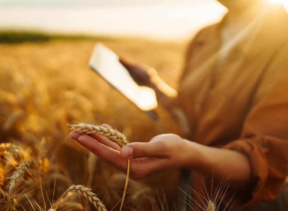 QFP e PAC 2028-2034: meno risorse finanziarie e tante novità qfp-pac-2028-2034-meno-risorse-finanziarie-tante-novita Sezione Circolari