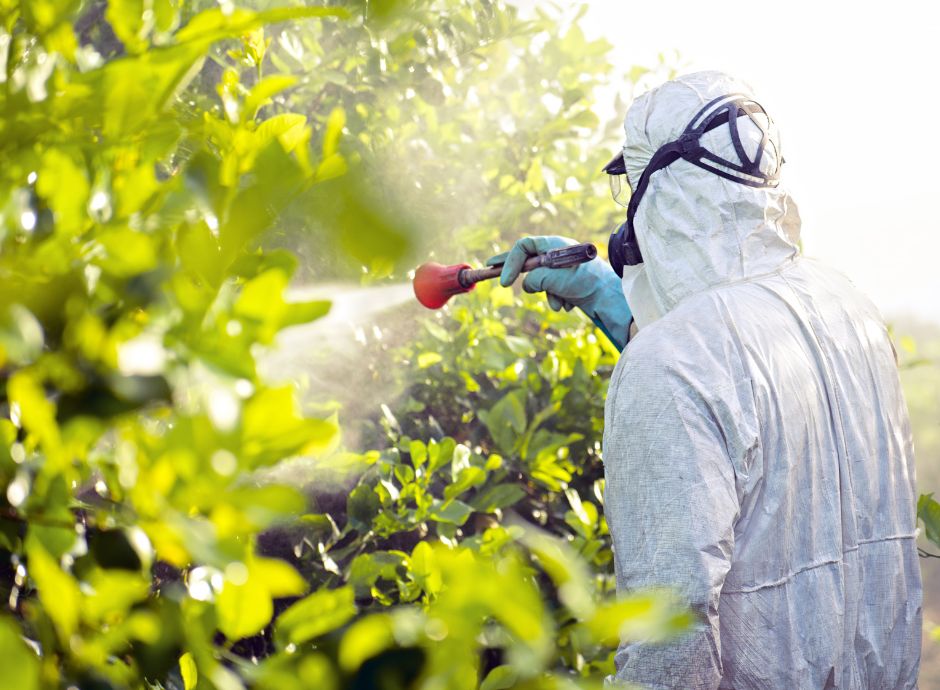 Tre strategie per eliminare i pesticidi in Europa entro il 2050: lo studio INRAE tre-strategie-eliminare-pesticidi-europa-entro-2050-studio-inra_p45840 Sezione Circolari