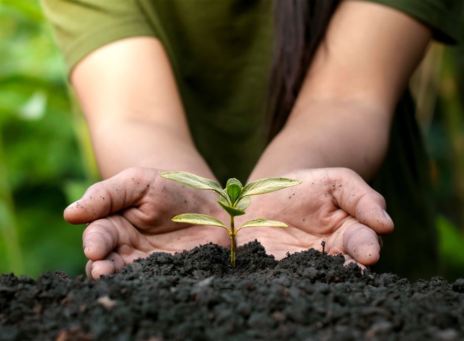 Budget europeo 2028 - 2034: la sconfitta dell’agricoltura budget-europeo-2028-2034-sconfitta-agricoltura Sezione Circolari