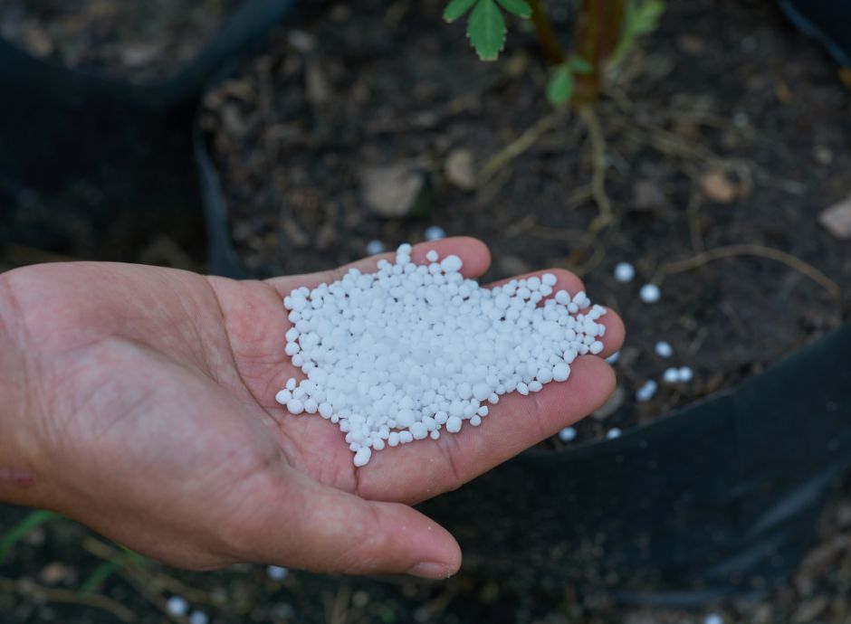 divieto-utilizzo-urea-bacino-padano-1-gennaio-2028 Sezione Circolari