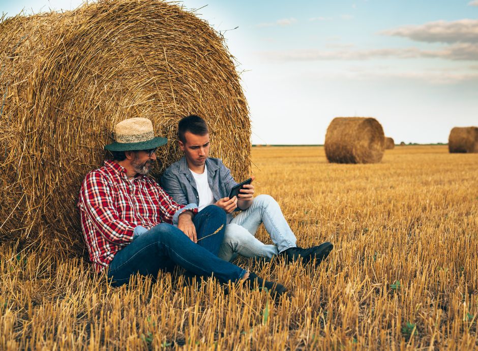 consiglio-stato-apertura-partita-iva-parte-dipendente-pa-eserci_p70454 Sezione Circolari