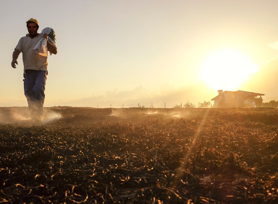 estensione-cisoa-emergenze-climatiche-indicazioni-inps Sezione Circolari