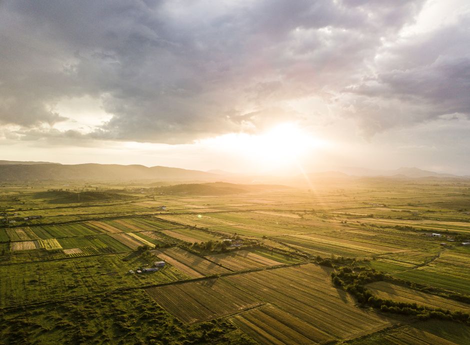prelazione-agraria-attenzione-valutazione-terreni-confinanti-re_p82558 Sezione Circolari