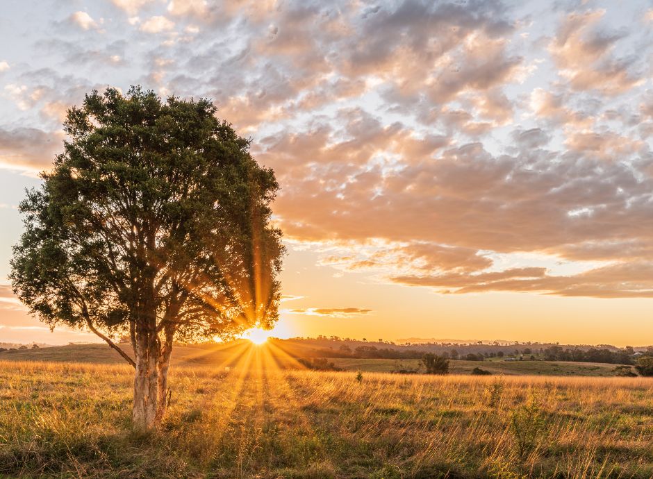 esercizio-diritto-prelazione-riscatto-favore-giovani-imprendito_p42032 Circolari OP del settore ortofrutticolo