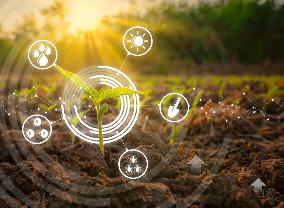 fondo-innovazione-agricoltura-ismea-annuncia-aumento-risorse Circolari OP del settore ortofrutticolo