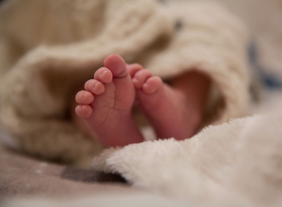 bonus-nuovi-nati-termine-22-settembre-2025-presentazione-domand_p58883 Circolari OP del settore ortofrutticolo