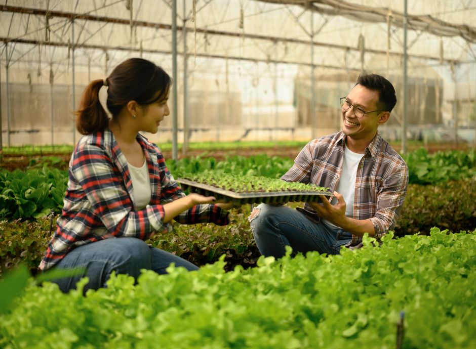 imprenditore-agricolo-professionale-vantaggi-rischi-nascosti Circolari Fiscali
