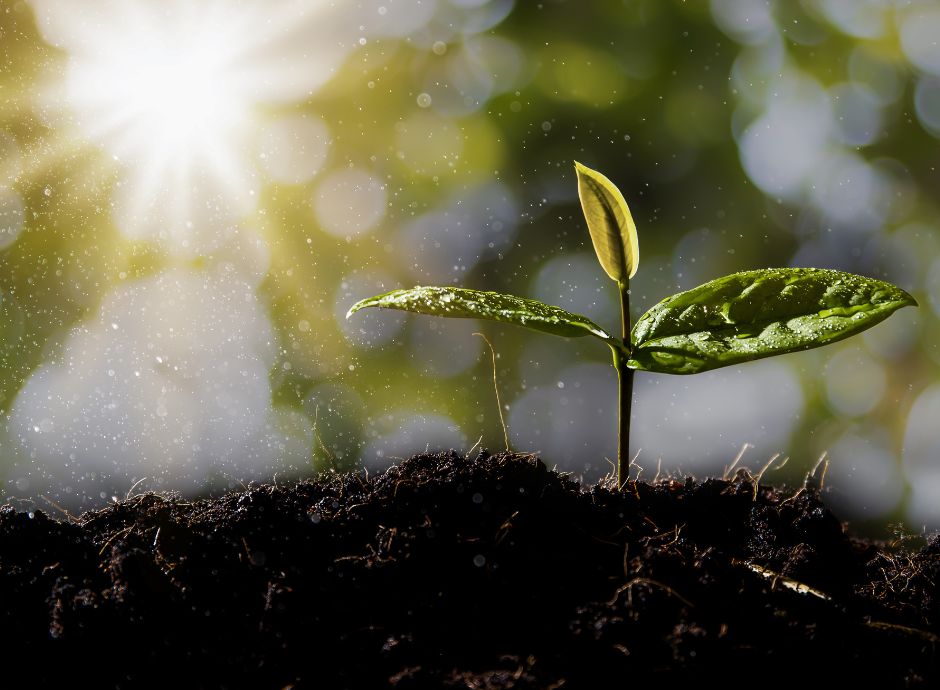 biostimolanti-europa-mercato-5-miliardi-euro-piena-espansione Circolari OP del settore ortofrutticolo