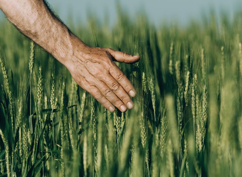 cambiamenti-impatti-proposta-riforma-pac-2028-2034 Sezione Circolari PAC | ConsulenzaAgricola.it