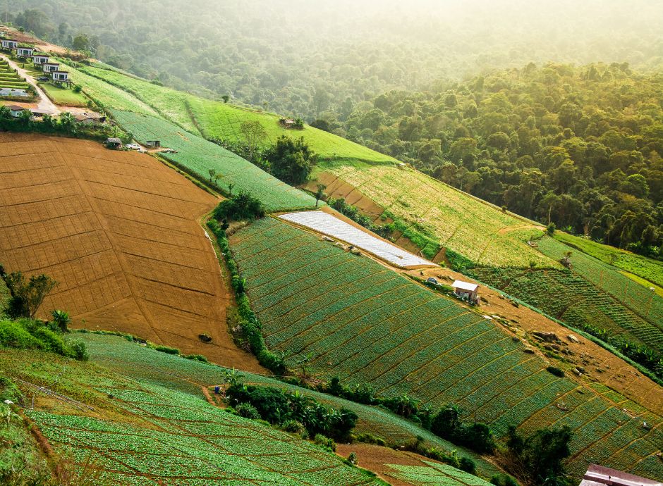 nuova-legge-zone-montane-2025-riconoscimento-costituzionale-svi_p46434 Sezione Circolari