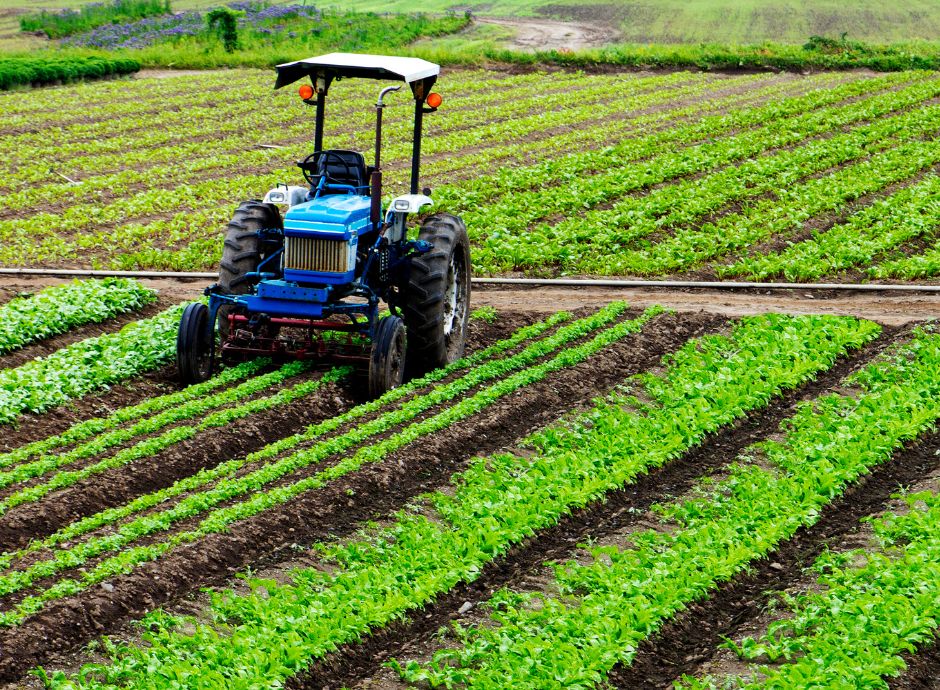 agevolazioni-iap-addio-requisito-reddituale-primi-5-anni-cosa-c_p63930 Sezione Circolari